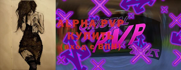 дживик Бородино