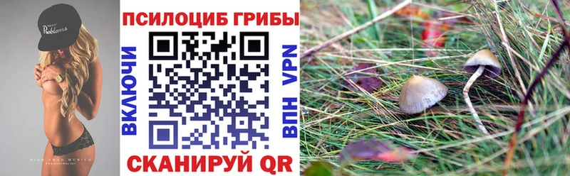 Псилоцибиновые грибы Psilocybe  наркошоп  Кириши 