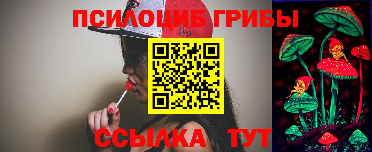 Псилоцибиновые грибы Psilocybine cubensis  Вход с VPN  Кириши 