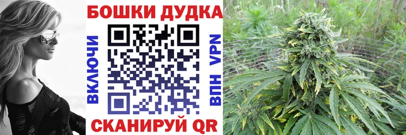 Конопля планчик  Кириши 